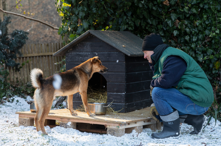 Twój pies świadczy o Tobie