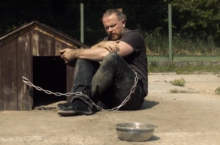 Pies czuje tak jak ty