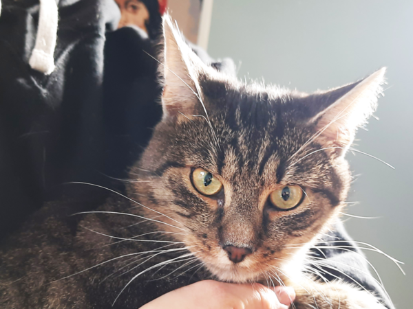 Leopold “Zajączek”