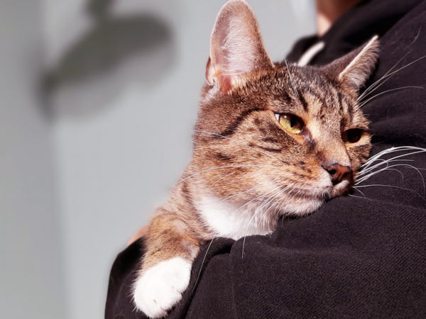 Leopold “Zajączek”