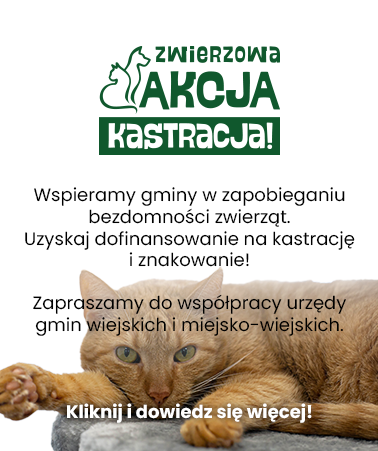 akcja kastracja fundacja zwierz