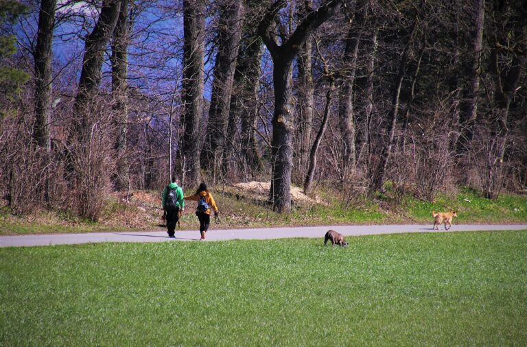 Spacer z psem – ten codzienny rytuał, który ma znaczenie