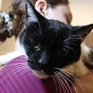 rysunek poglądowy garażu