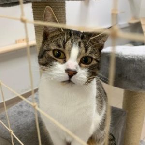 rysunek poglądowy garażu