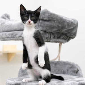 rysunek poglądowy garażu