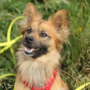 rysunek poglądowy garażu