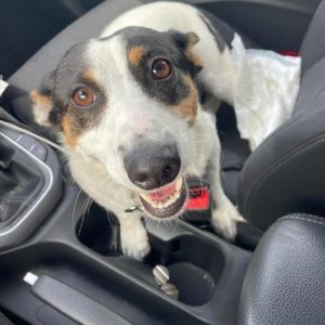 rysunek poglądowy garażu