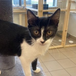 rysunek poglądowy garażu